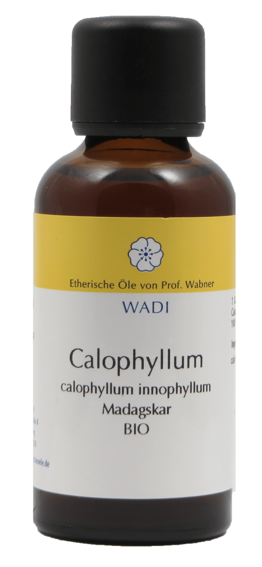 Calophyllum bio WADI GmbH