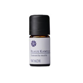 Kamille blau