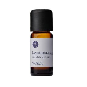 Lavendel fein bio