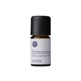 Thymian linalool bio