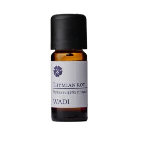 Thymian rot