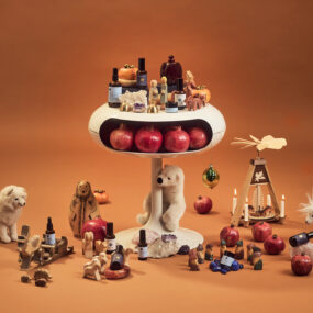 10 festliche Geschenksets