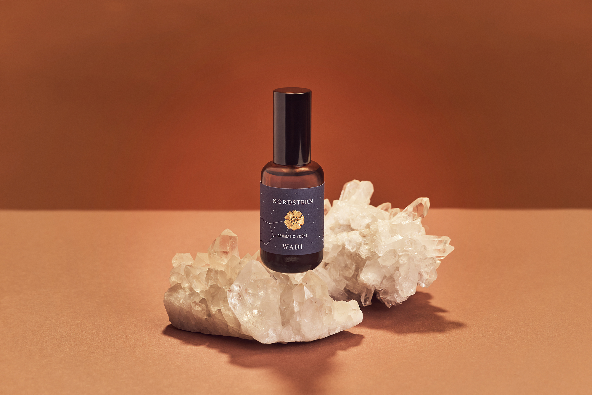 Der Nordstern ist zurück