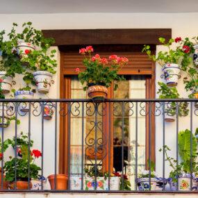 GrünFit und GrünFried - aus Liebe zu den Pflanzen