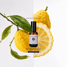 Citrus Gold