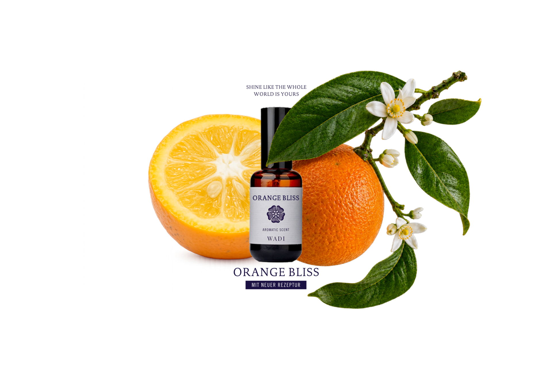 Orange Bliss ist in einer neuen Edition zurück!
